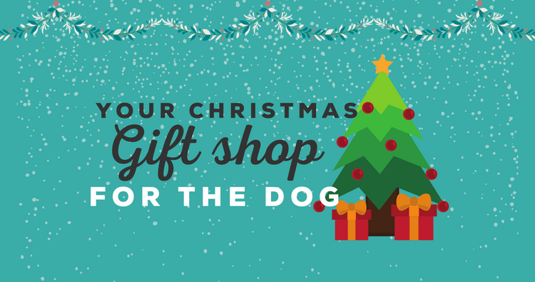 Christmas Gifts for the Dog