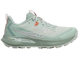 Peregrine 15 W