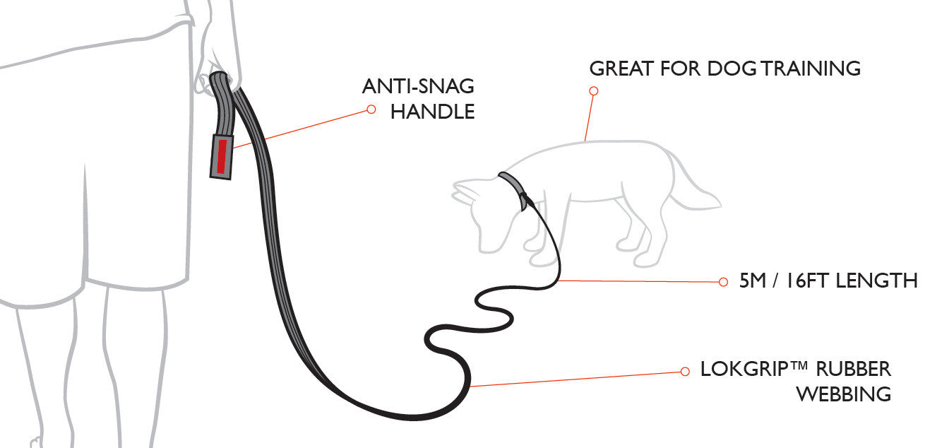 Track n Train Dog Lead