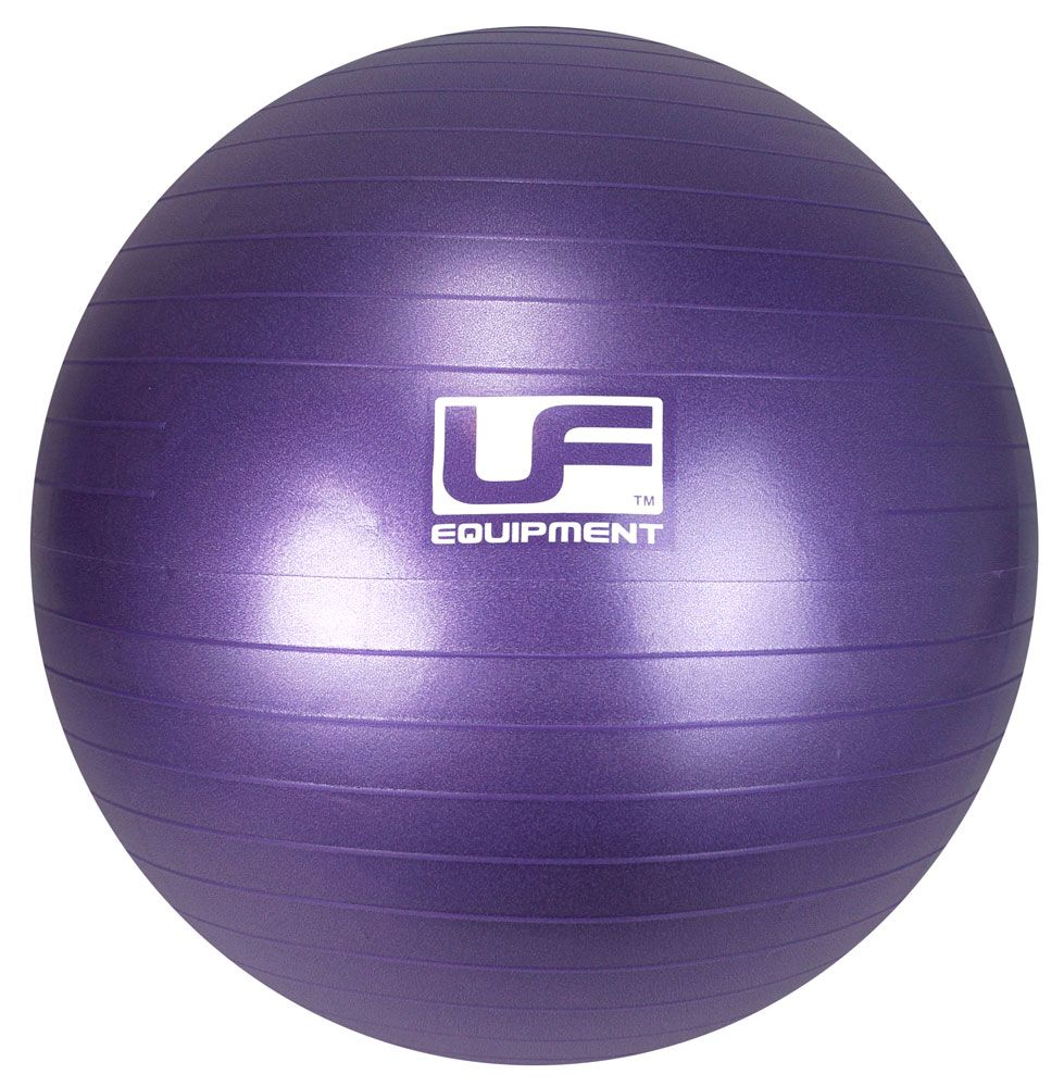 55 cm Burst Resistance Swiss Ball