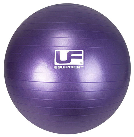 55 cm Burst Resistance Swiss Ball