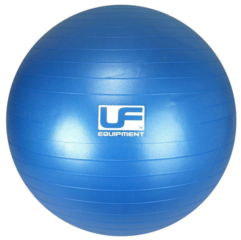 55 cm Burst Resistance Swiss Ball