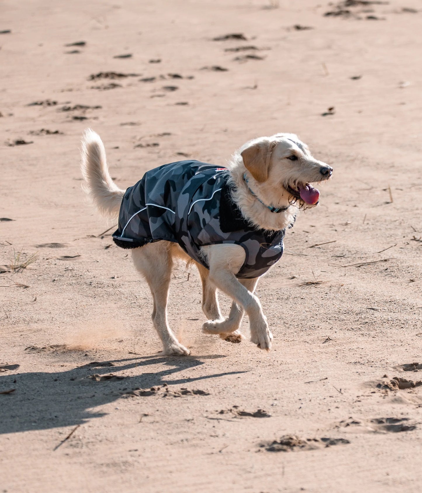 Dryrobe Dog Robe