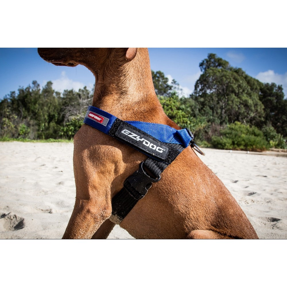 Express Dog Harness