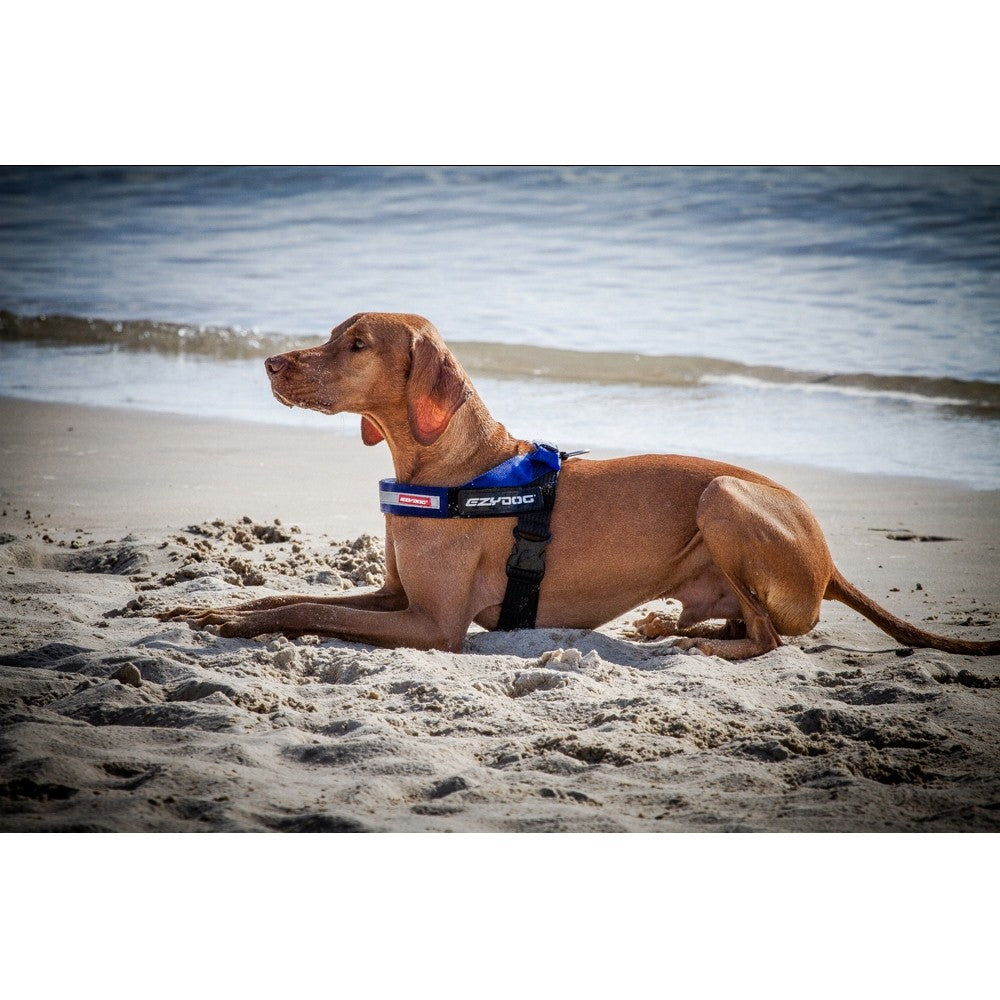 Express Dog Harness