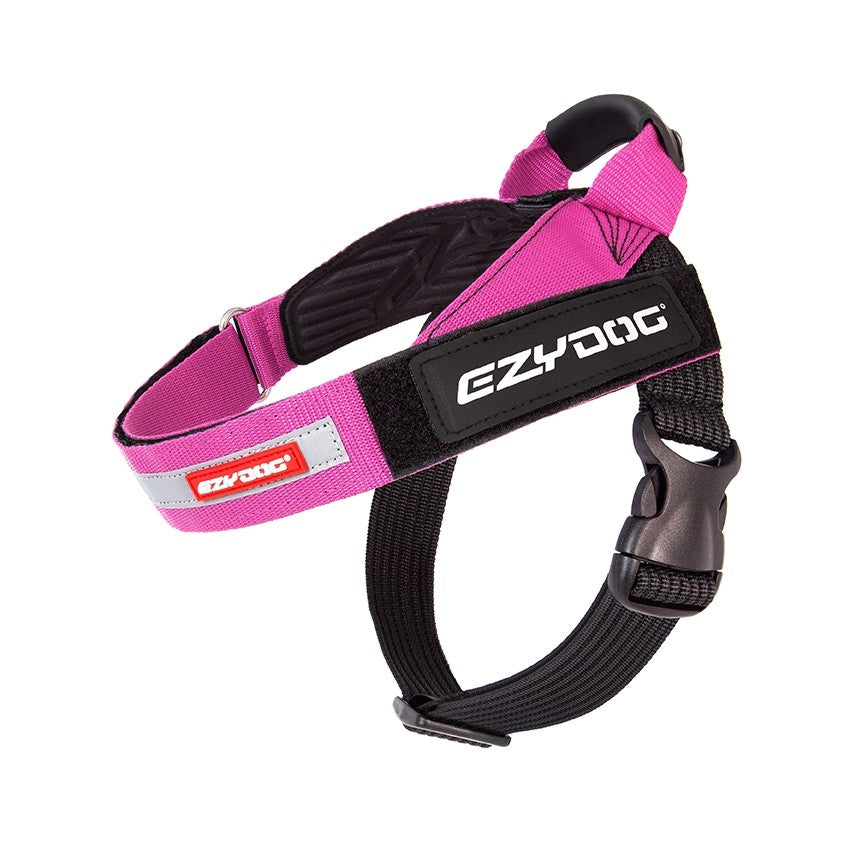 Express Dog Harness